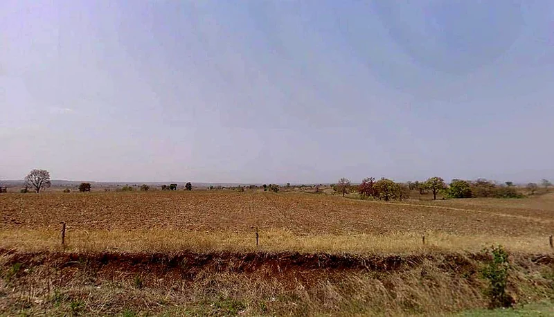 Sawari, Madhya Pradesh, India preview 2