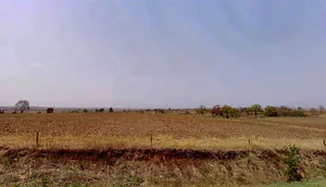 Sawari, Madhya Pradesh, India preview 2