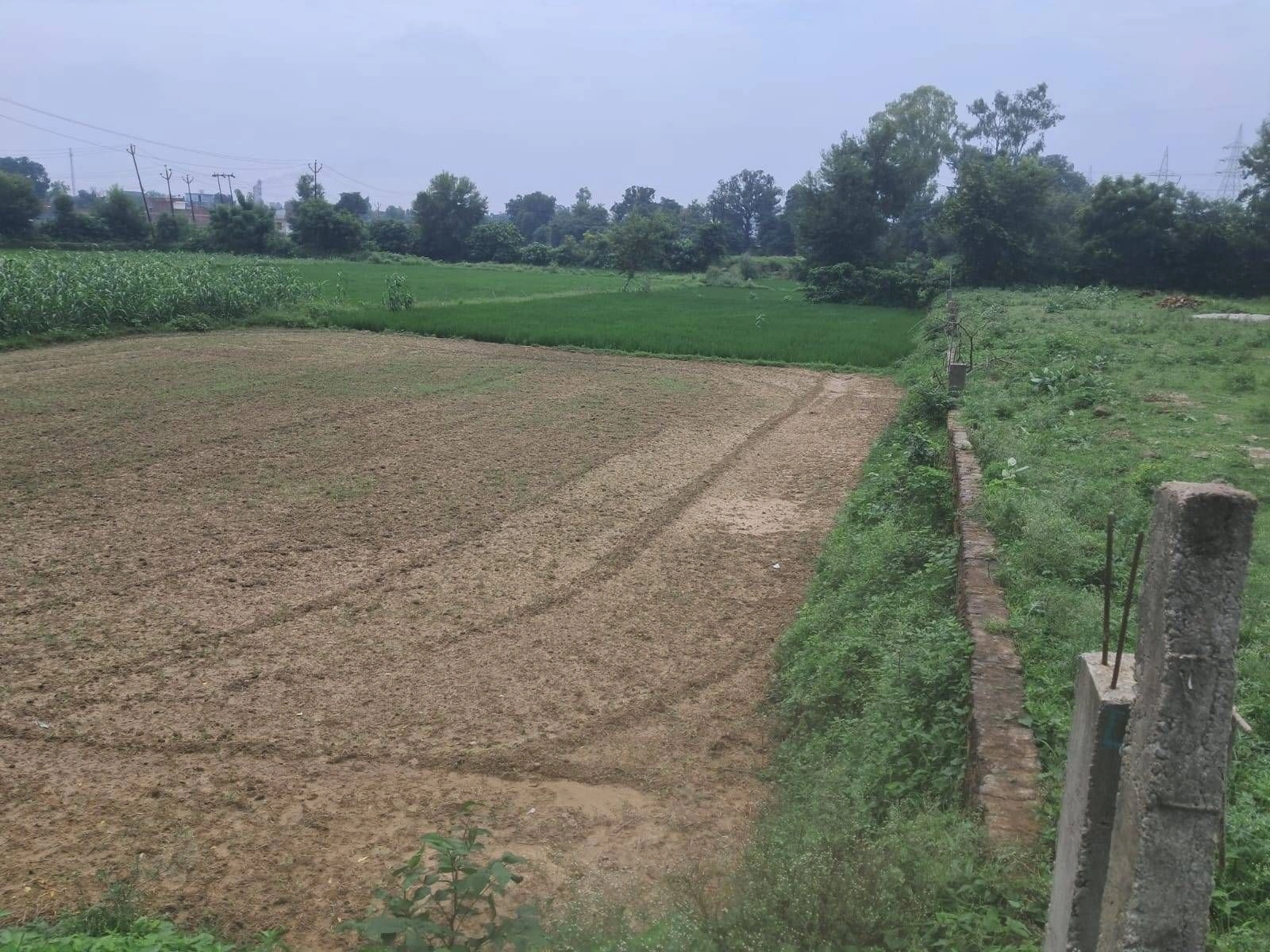 Q62C+PP Kushmaha, Ayodhya, Uttar Pradesh, India