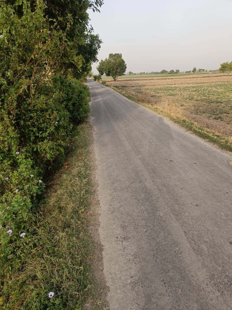 Tentigaon, Uttar Pradesh, India