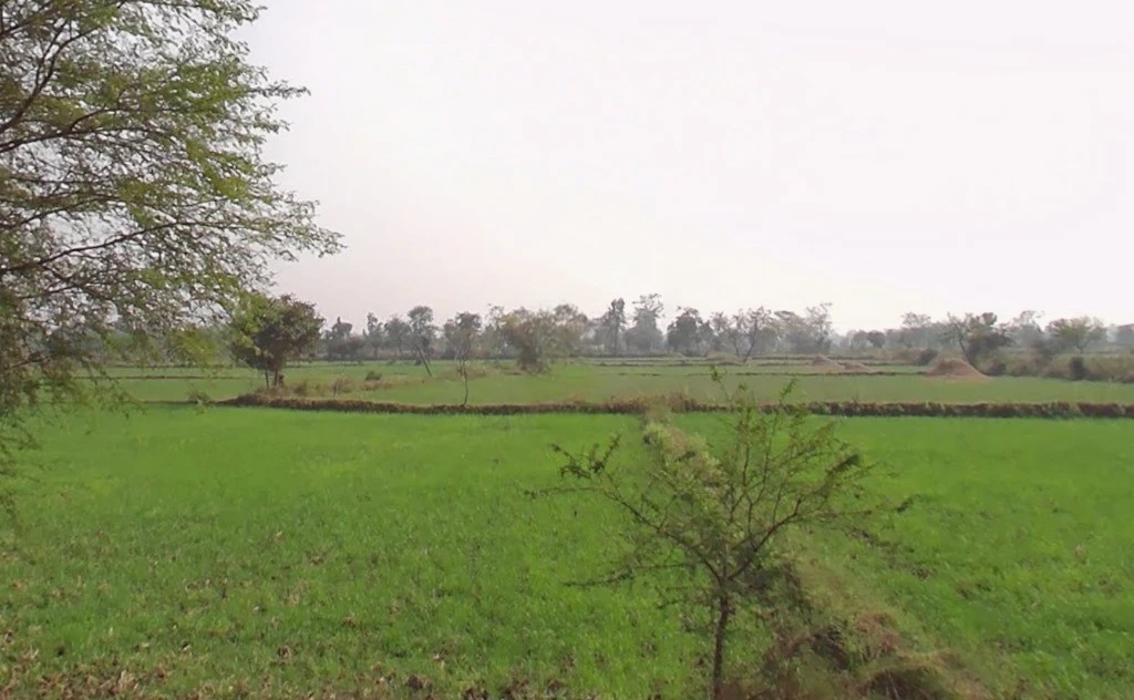 Gadamore, Chhattisgarh 491337, India