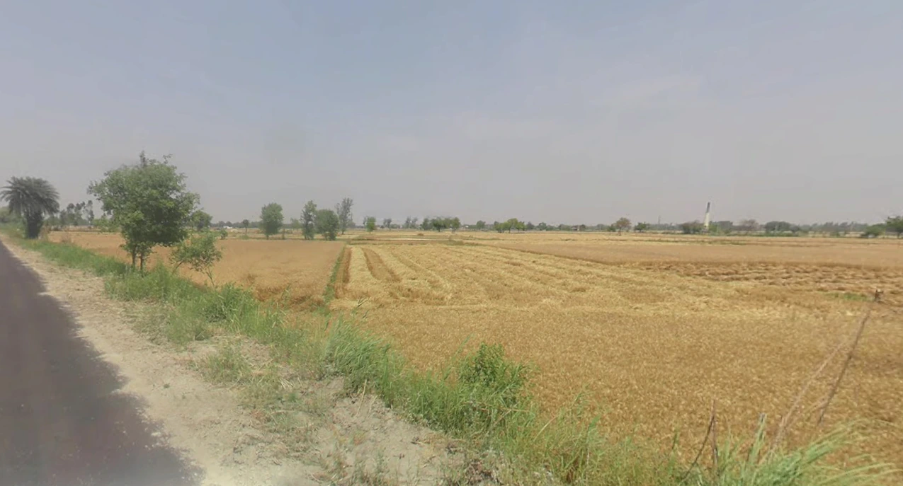 Gabhana, Uttar Pradesh 202136, India