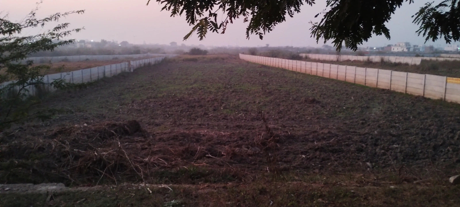 Govardhan, Uttar Pradesh, India