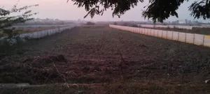 Govardhan, Uttar Pradesh, India preview 3