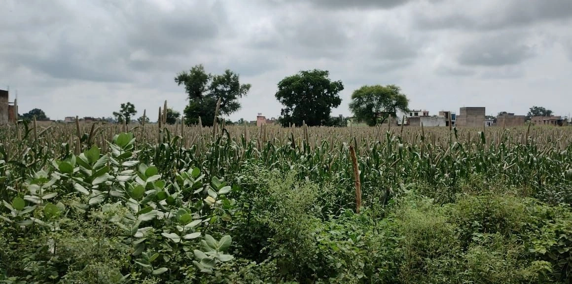 Untwal, Rajasthan 301028, India