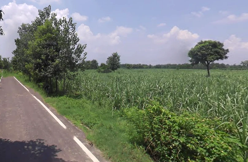 Satpura, Uttar Pradesh 247129, India