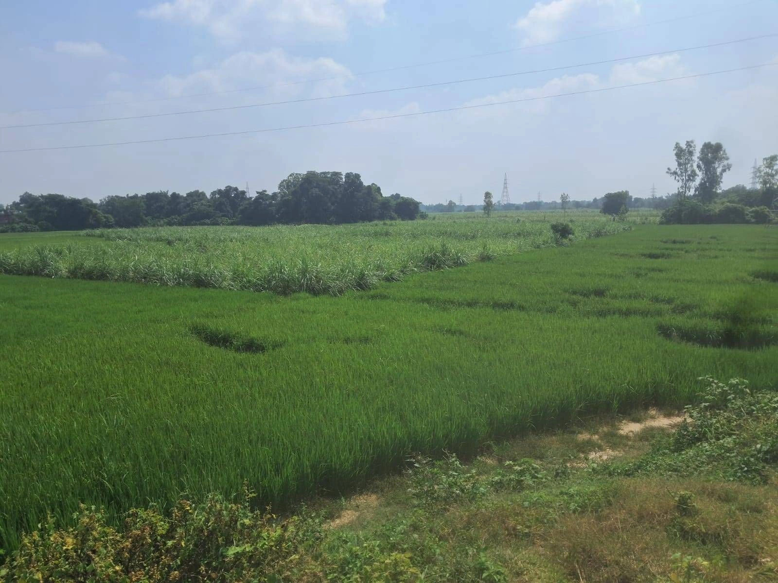 P692+CM Dadera, Ayodhya, Uttar Pradesh, India - Photo 2