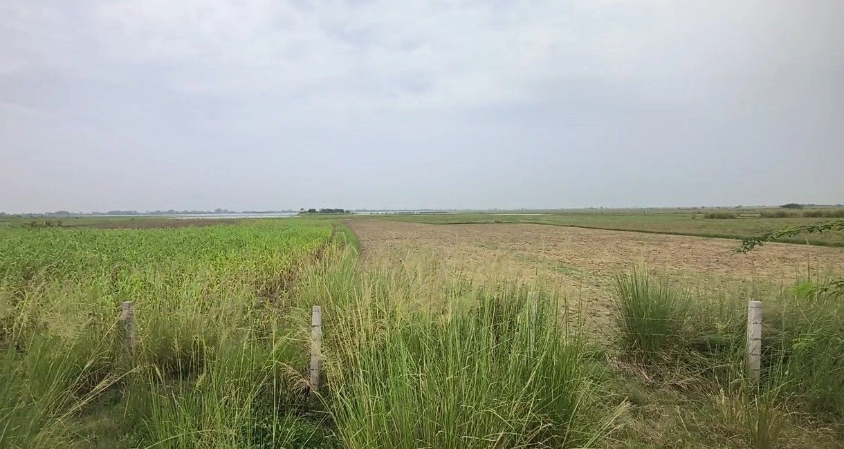3RXW+P5 Bara Abdullapura, Tonk, Rajasthan, India
