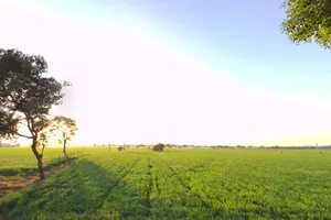 Ghatabillod, Madhya Pradesh 454773, India preview 3