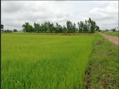 Jondhra, Chhattisgarh, India preview 2