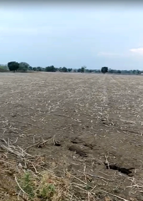 JHG2+WQ3, Dam Kheda, Madhya Pradesh, India