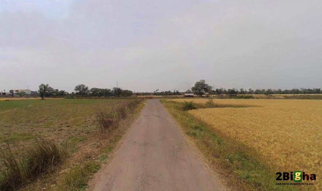 Kothi, Madhya Pradesh 485666, India