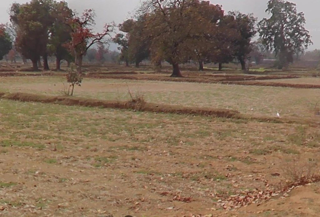 Sendri, Bilaspur, Chhattisgarh, India