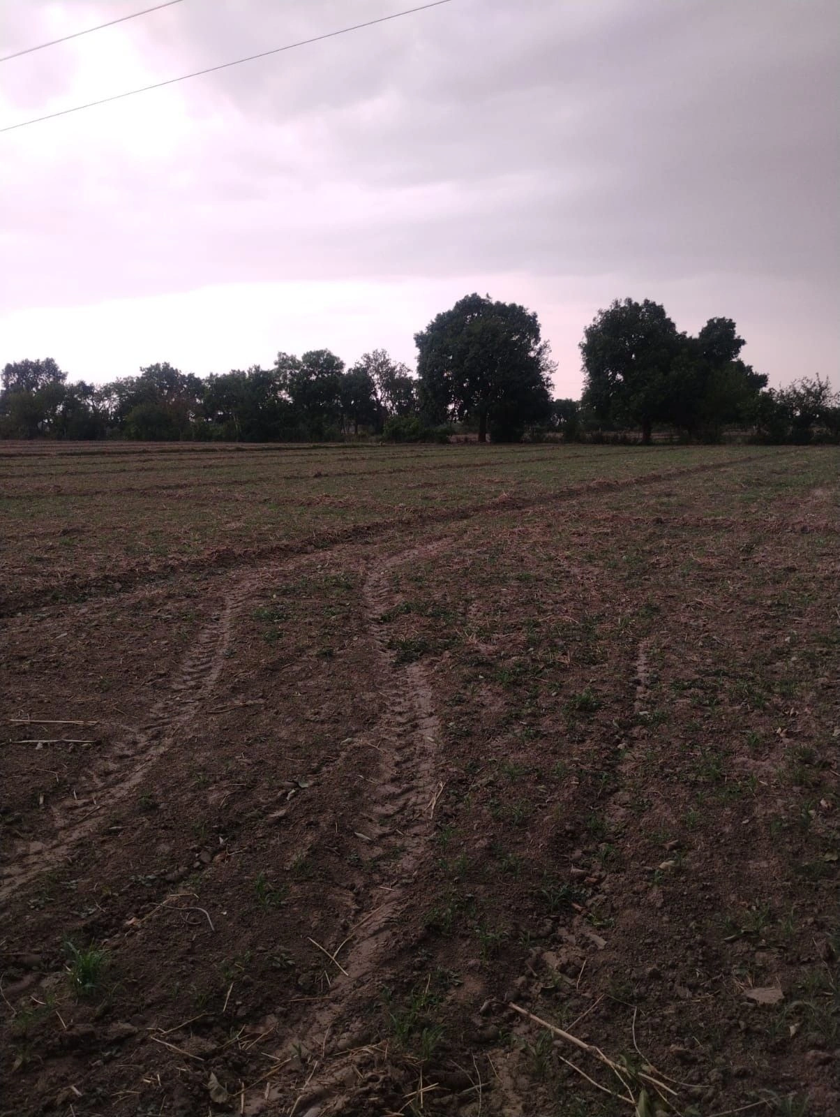 Chaumuhan, Mathura, Uttar Pradesh 281406, India