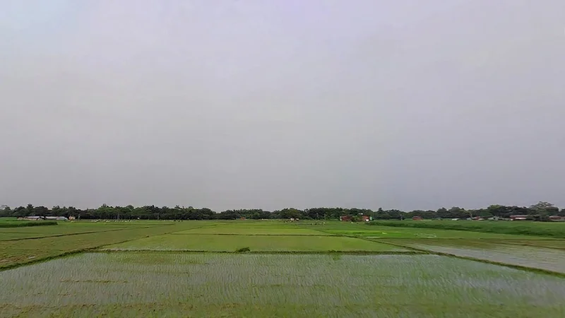 F2V9+Q98, Hanuman Nagar, Bihar 854340, India preview 3