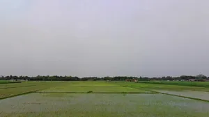 F2V9+Q98, Hanuman Nagar, Bihar 854340, India preview 3