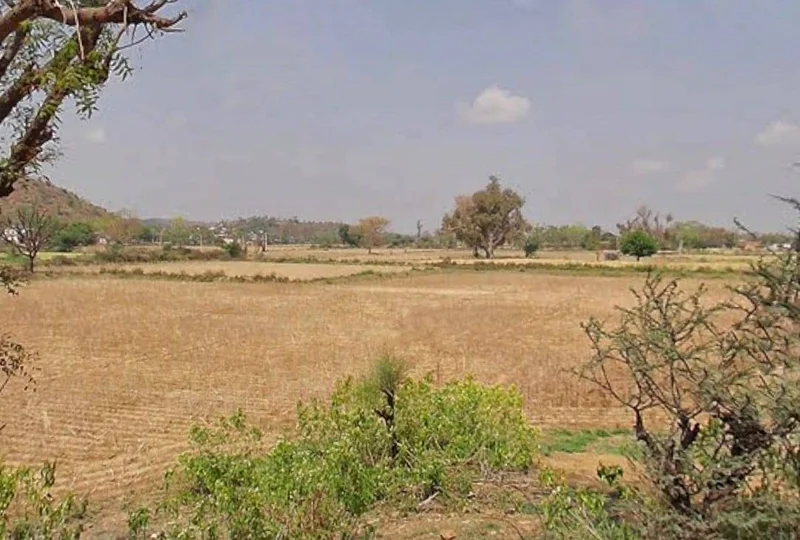 QM6W+8Q, Ismalpur, Ismailpur, Rajasthan 301404, India preview 3