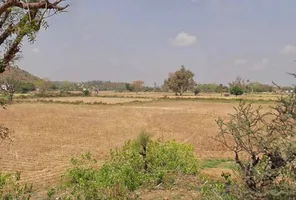 QM6W+8Q, Ismalpur, Ismailpur, Rajasthan 301404, India preview 3