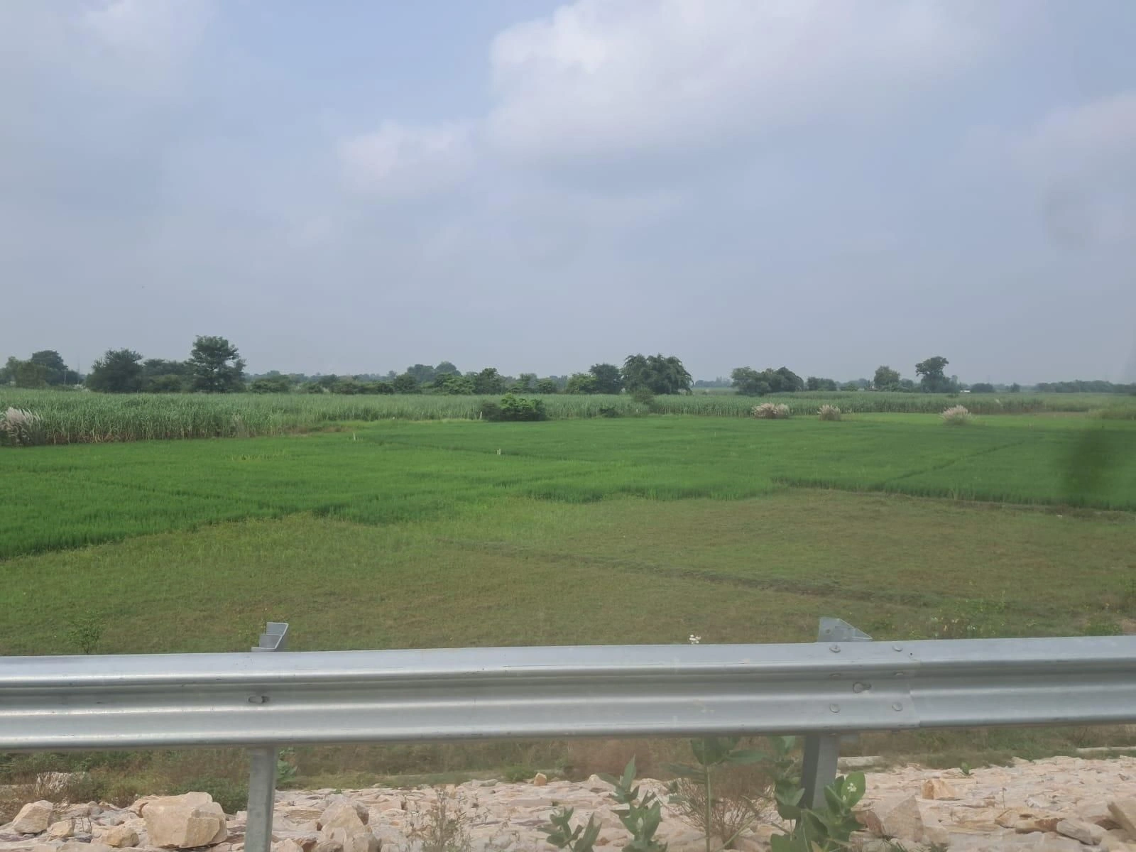P7F9+RP, Ayodhya, Sarairasi Manjha, Uttar Pradesh 224171, India