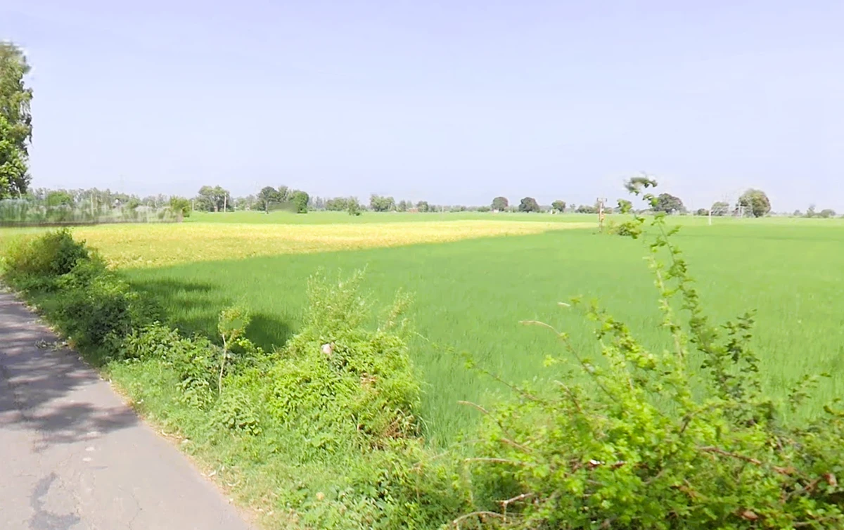 Keharwali, Haryana, India