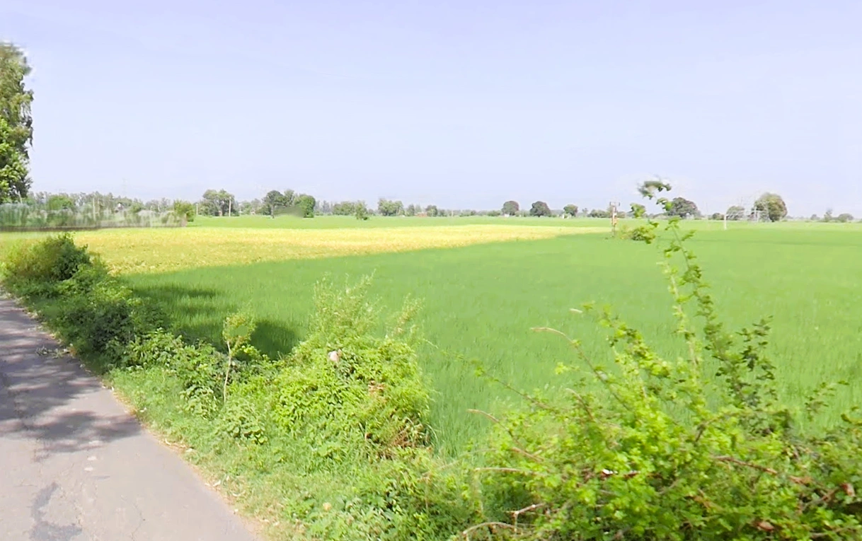 Keharwali, Haryana, India