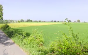 Keharwali, Haryana, India preview 3