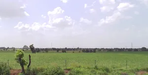 Ghosla, Madhya Pradesh 456550, India preview 2