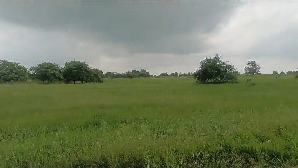 Hinoti Singorgarh, Madhya Pradesh 470880, India