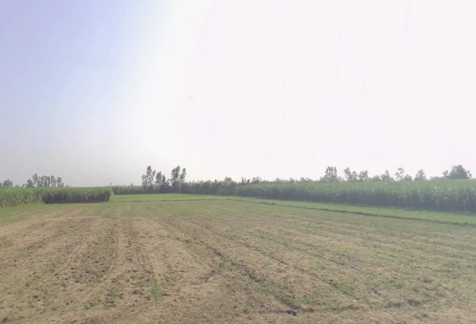 Hasanpur, Uttar Pradesh 244241, India