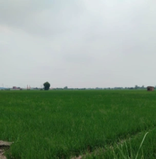 8XVP+47G, Kanpur Dehat, Jalalpur Nagin, Uttar Pradesh 209311, India