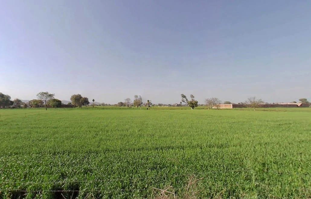 Ramgarh, Rajasthan 301026, India