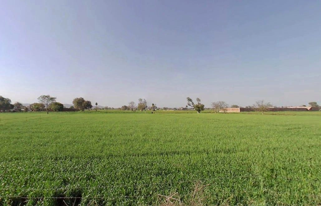 Ramgarh, Rajasthan 301026, India