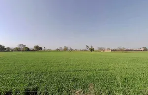 Ramgarh, Rajasthan 301026, India preview 2