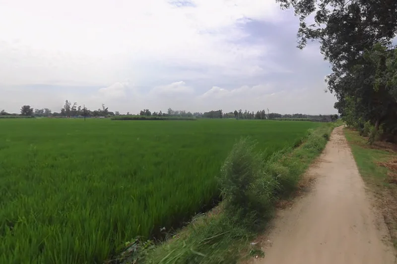 Jagraon, Punjab 142026, India preview 3