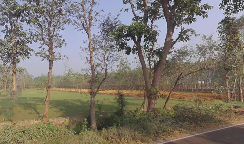 Behat Dehat, Uttar Pradesh 247121, India preview 3