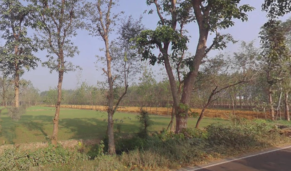 Behat Dehat, Uttar Pradesh 247121, India