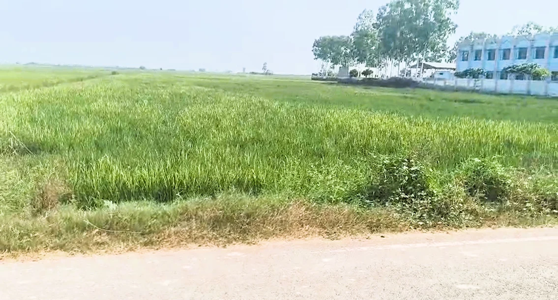 Patwapur, Rohtak, Haryana 124411, India