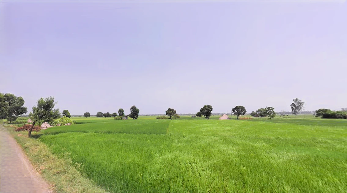 Raipur Rani, Haryana 134204, India