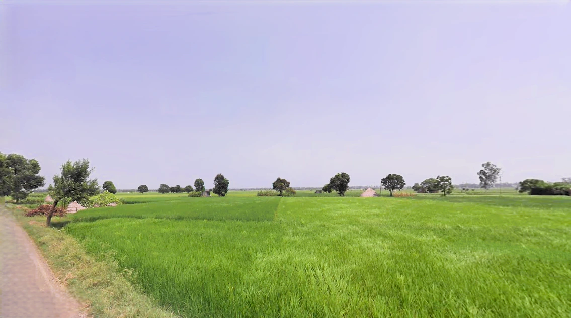 Raipur Rani, Haryana 134204, India
