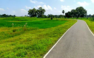 Rasni, Chhattisgarh 493441, India preview 2