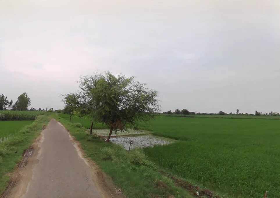 Narauli, Uttar Pradesh 244414, India preview 3