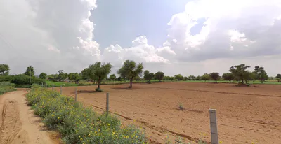 Chandesari, Madhya Pradesh, India preview 3