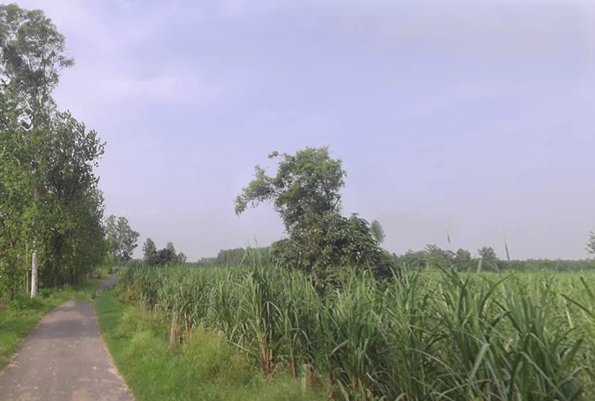 Behat, Uttar Pradesh 247121, India