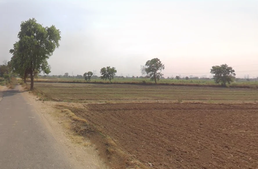 Mohammadpur Nar, Uttar Pradesh 203141, India preview 2