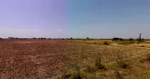 Khandosan, Gujarat 384310, India preview 3