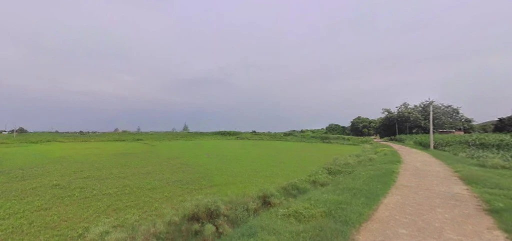 Ghasoi, Madhya Pradesh 458888, India