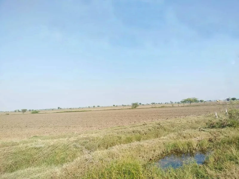 Etawah, Rajasthan 325004, India preview 3