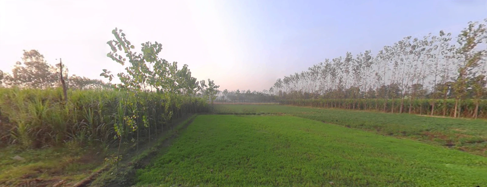 Bhagwanpur, Uttarakhand 247661, India