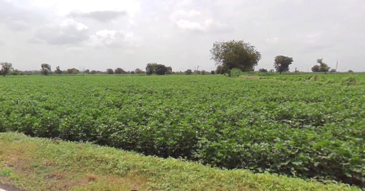Borawan, Madhya Pradesh 451228, India