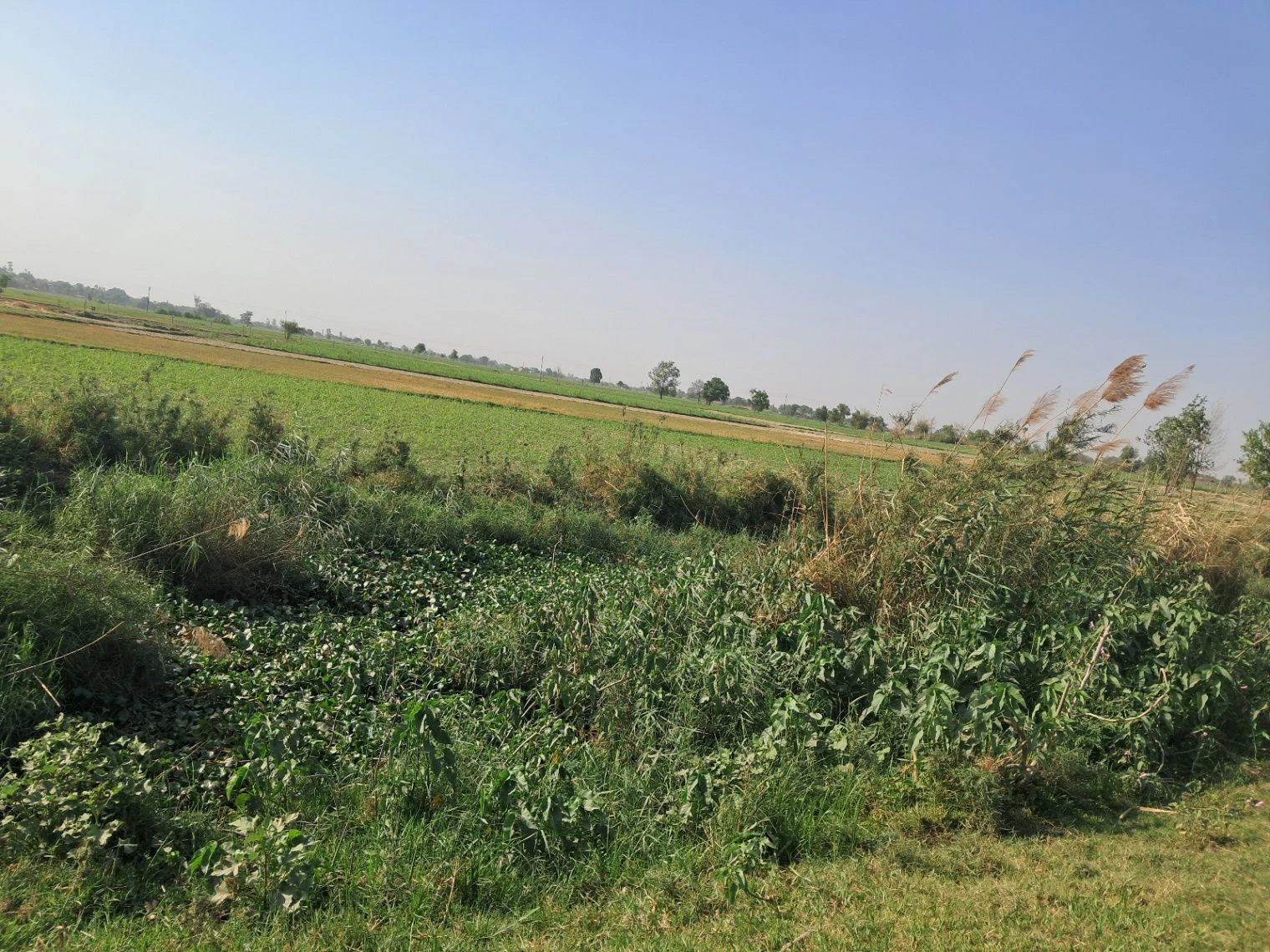H564+JQ Dubawa, Uttar Pradesh, India